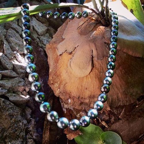 Remato collar de perlas de Tahiti comprado e - Imagen 3