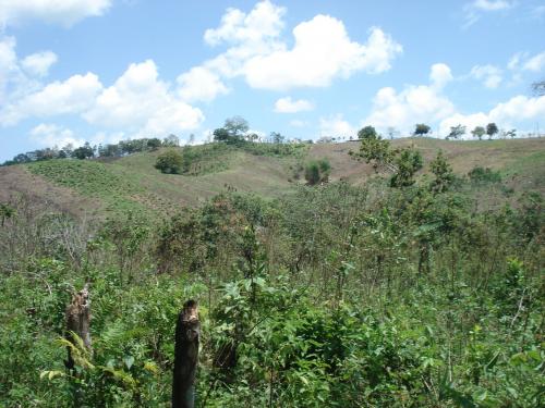 land for sale in dominican republic for sale - Imagen 1