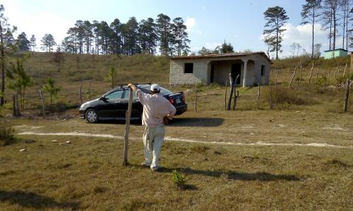 Vendo terreno con casa de adobe recién hecha - Imagen 2