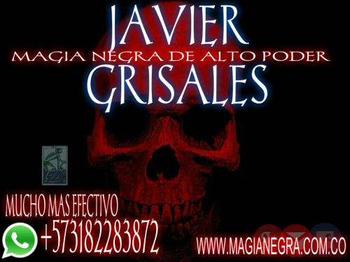 MAESTRO JAVIER GRISALES    PAREJAS QUE SE HA - Imagen 2