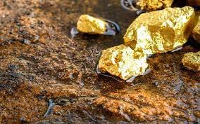 venta de oro minas de oro certificado ni 4310 - Imagen 1