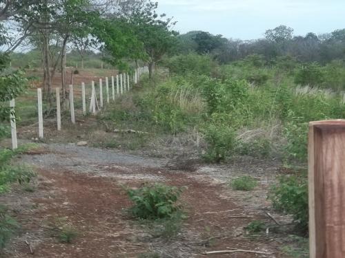 Lots FOR  SALE ANY SIZE from 400m2 to 8000m2  - Imagen 1