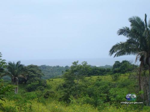  FARM for SALE 243 Has 35 Km from the beach - Imagen 1
