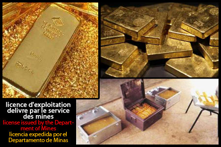 Trade gold bullion and crude powder We have c - Imagen 1