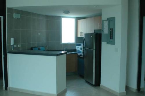 We are selling a penthouse in Panama located  - Imagen 3