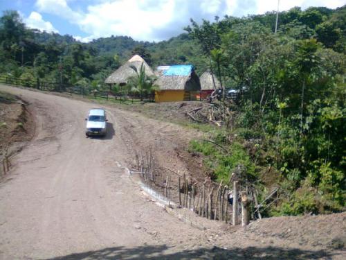 We are selling a 174hectares 430 acres farm  - Imagen 3