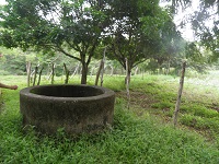 Venta de finca de 12 manzanas en NandaimeGra - Imagen 2