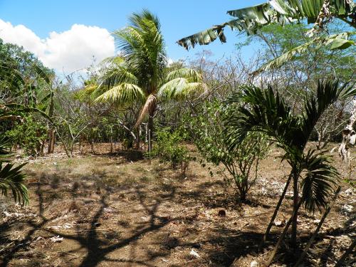 Venta de Terreno en Nicaragua  Ubicado sobre  - Imagen 3