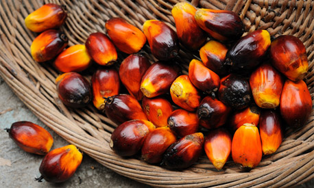 Refinado y crudo: aceite de palma aceite de  - Imagen 1
