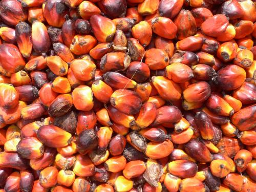 Refinado y crudo: aceite de palma aceite de  - Imagen 2